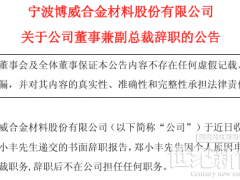 這家光伏上市公司副總裁辭職！